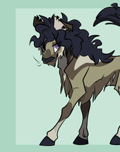 DTIYS 2nd place prize