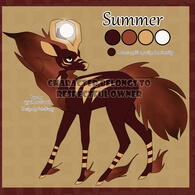 SOLD collab adopt
