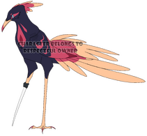 SOLD collab adopt